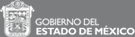 Portal del Gobierno del Estado de México